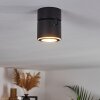APPLETON Ceiling Light LED black, 1-light source