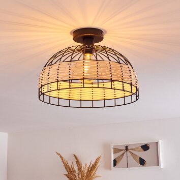 RECINTO Ceiling Light black, 1-light source