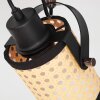 BROEKERHAVEN Ceiling Light black, 1-light source