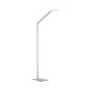 Paul Neuhaus Q-HANNES Floor Lamp LED silver, 1-light source, Remote control