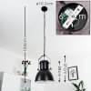 FIEBERBRUNN Pendant Light black, 1-light source