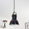 FIEBERBRUNN Pendant Light black, 1-light source