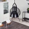 FIEBERBRUNN Pendant Light black, 1-light source