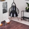 FIEBERBRUNN Pendant Light black, 1-light source