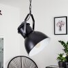 FIEBERBRUNN Pendant Light black, 1-light source