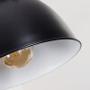 FIEBERBRUNN Pendant Light black, 1-light source