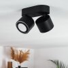 APPLETON Ceiling Light LED black, 2-light sources