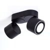 APPLETON Ceiling Light LED black, 2-light sources