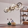 BAZUIN Pendant Light LED black, 4-light sources