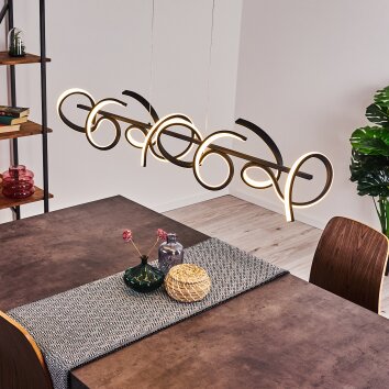 BAZUIN Pendant Light LED black, 4-light sources