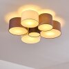 Payette Ceiling Light brown, grey, black, white, 6-light sources
