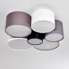 Payette Ceiling Light brown, grey, black, white, 6-light sources