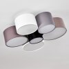Payette Ceiling Light brown, grey, black, white, 6-light sources