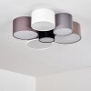 Payette Ceiling Light brown, grey, black, white, 6-light sources