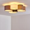Payette Ceiling Light brown, grey, black, white, 6-light sources