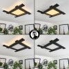 CUCHARA Ceiling Light LED black, 5-light sources