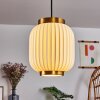 DYCE Pendant Light black, 1-light source