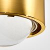 SAPRI Wall Light gold, 1-light source