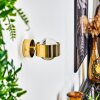 SAPRI Wall Light gold, 1-light source
