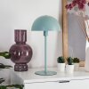 TOM KINGS Table lamp green, white, 1-light source