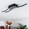 Grossari Ceiling Light LED black, 3-light sources