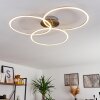 JOHSA Ceiling Light LED matt nickel, silver, 3-light sources