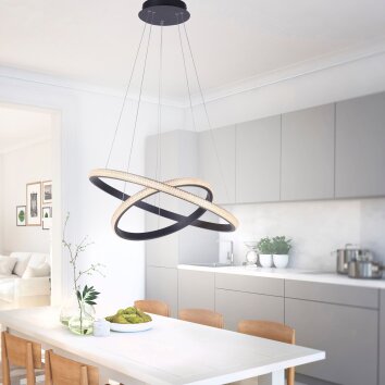 Leuchten-Direkt MUSA Pendant Light LED black, 2-light sources