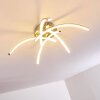 Wikon Ceiling Light LED matt nickel, 5-light sources