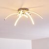 Wikon Ceiling Light LED matt nickel, 5-light sources