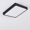 KRAGOS Ceiling Light LED black, white, 1-light source