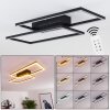 CHEKA Ceiling Light LED black, 2-light sources, Remote control
