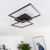 CHEKA Ceiling Light LED black, 2-light sources, Remote control