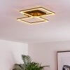 CHEKA Ceiling Light LED black, 2-light sources, Remote control