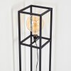 FLAMBEAU Floor Lamp black, 1-light source