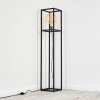 FLAMBEAU Floor Lamp black, 1-light source
