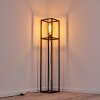 FLAMBEAU Floor Lamp black, 1-light source