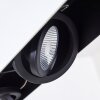 BACOOR Pendant Light LED black, white, 5-light sources