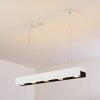 BACOOR Pendant Light LED black, white, 5-light sources