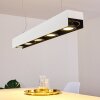 BACOOR Pendant Light LED black, white, 5-light sources