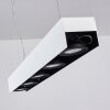 BACOOR Pendant Light LED black, white, 5-light sources