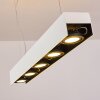 BACOOR Pendant Light LED black, white, 5-light sources