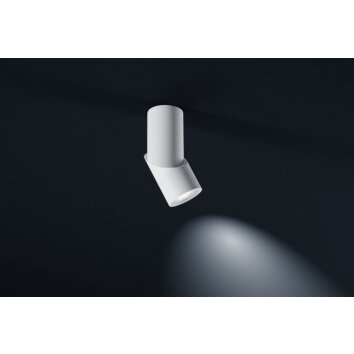 Helestra DORA 2 ceiling light LED white, 1-light source