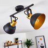Ceiling Light Blackburn black-gold, 2-light sources