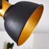 Ceiling Light Blackburn black-gold, 2-light sources