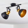 Ceiling Light Blackburn black-gold, 2-light sources