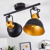 Ceiling Light Blackburn black-gold, 2-light sources