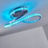 Saginaw Ceiling Light LED matt nickel, 1-light source, Remote control, Colour changer