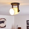 GIBRALTAR Ceiling Light black, 1-light source