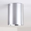 BETSIE Ceiling Light matt nickel, 1-light source