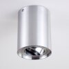 BETSIE Ceiling Light matt nickel, 1-light source